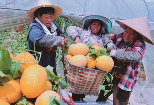 2024年吉林省农村集体经济组织承包合同条例最新